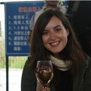 Doy clases online de chino para españoles (hasta nivel HSK5) y para chinos que quieran aprender español